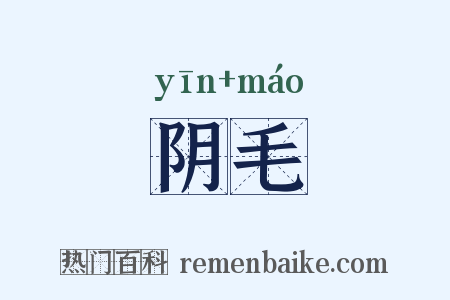 阴毛是什么意思的图片